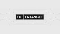 entangle case study cover
